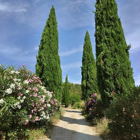 Maison Chemin D'Uzes Blauzac  エクステリア 写真